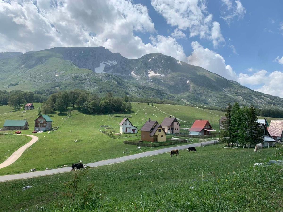 Blackberry House Zabljak Villa Exterior foto